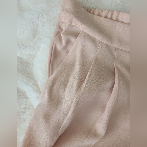 Aritzia Babaton Cohen Pants - Picture 11 of 11